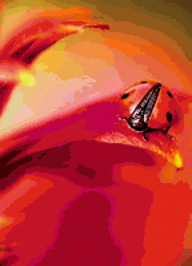 Божья коровка - цветок, божья коровка - предпросмотр
