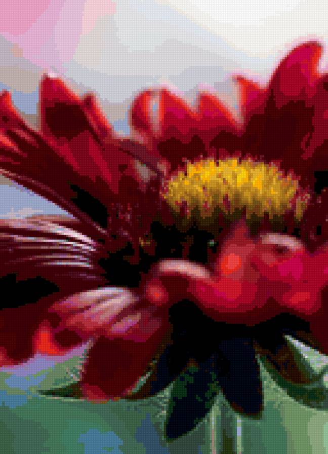 Цветок - цветок, красный цветок, гербера - предпросмотр