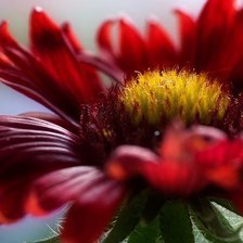 Схема вышивки «Цветок»