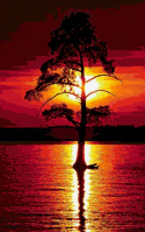 закат - закат, дерево - предпросмотр