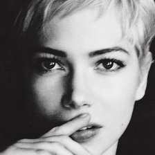 Схема вышивки «Мишель Уильямс»