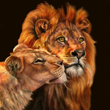 Схема вышивки «Львы»