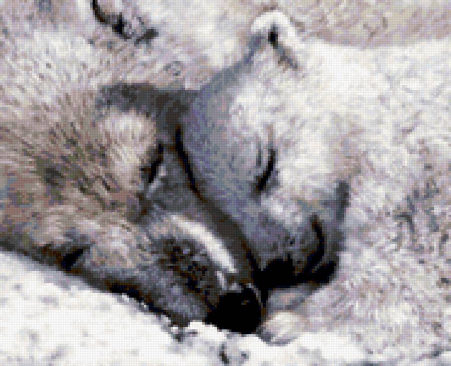 Сладкий сон - животные - предпросмотр