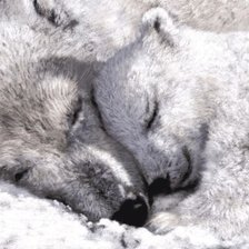 Сладкий сон