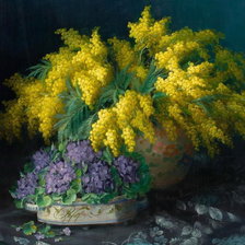 Схема вышивки «Мимоза»