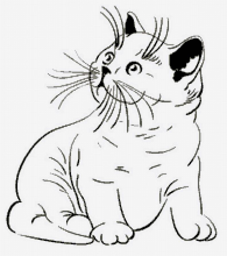 Котёнок - кошка, монохром, животные, кот - предпросмотр