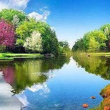 Схема вышивки «заказ 4»