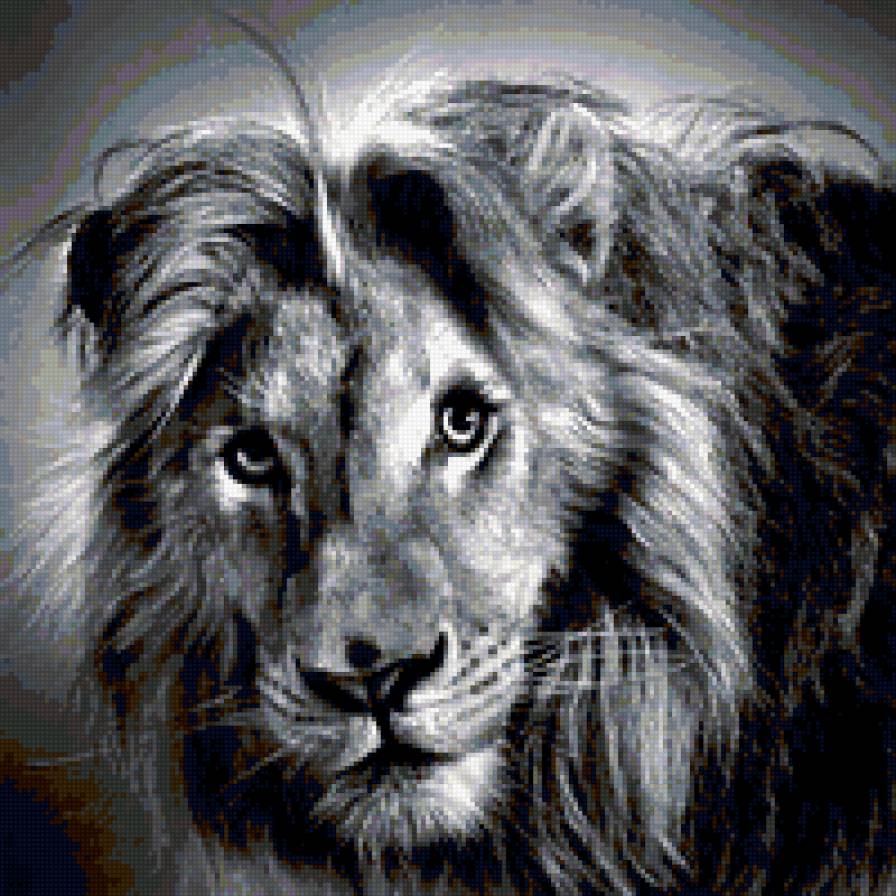 лев - черно-белая, лев - предпросмотр