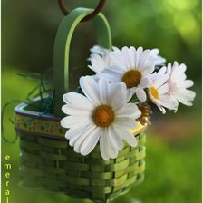 Схема вышивки «ромашки»