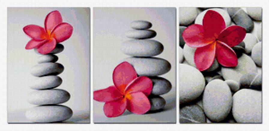 Цветок - цветок, камни - предпросмотр