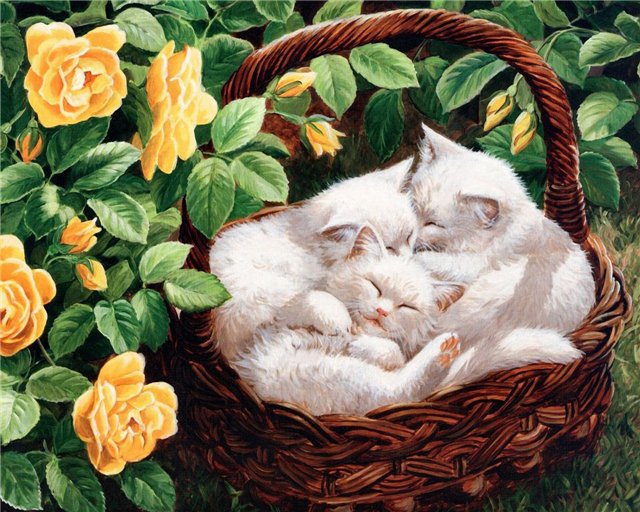 котята - пейзаж, корзина, розы, цветы, котенок - оригинал