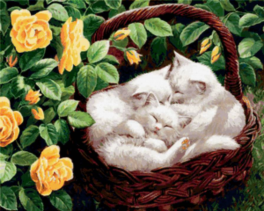 котята - пейзаж, котенок, корзина, цветы, розы - предпросмотр
