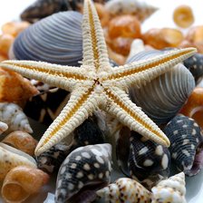 Схема вышивки «Море»