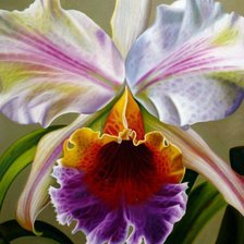 Схема вышивки «орхидея»