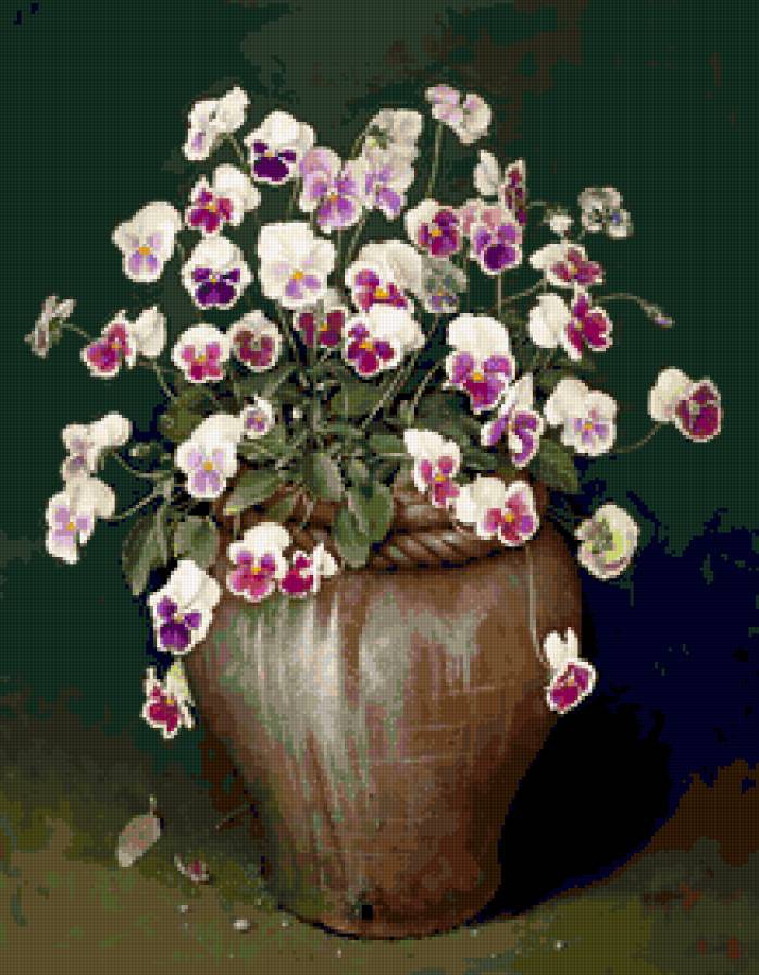 анютки - цветы.анютки - предпросмотр