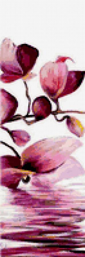 триптих, орхидея - триптих, орхидея - предпросмотр