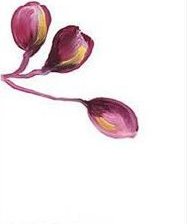 Схема вышивки «триптих, орхидея»