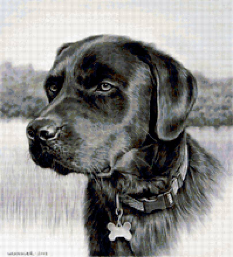 преданный пес - пес, собака, животное - предпросмотр