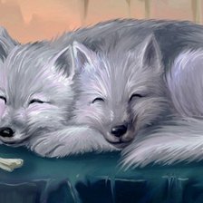 Схема вышивки «пушок»