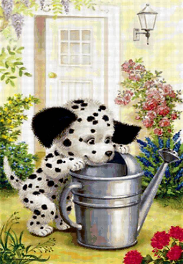 забавные собачки - предпросмотр