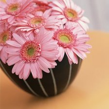 Схема вышивки «Букет»