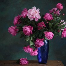 тбльпаны в синей вазе