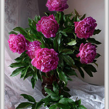 Схема вышивки «бордо пионы»