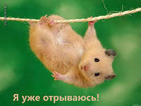 Схема вышивки «хома»