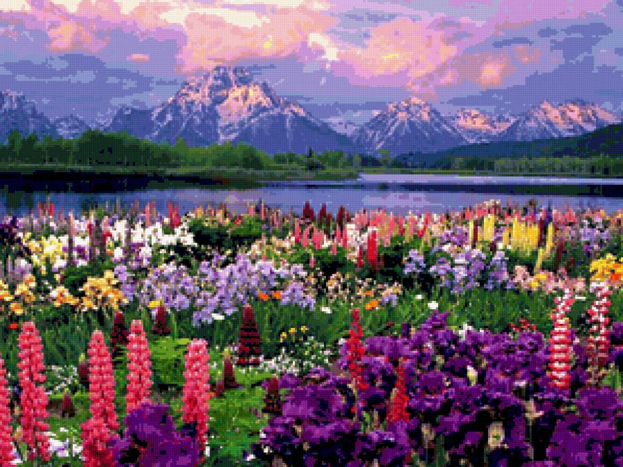 поле цветочное - поле, цветы - предпросмотр