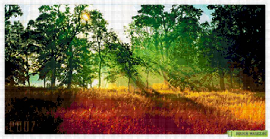 рассвет в лесу - рассвет, лес - предпросмотр