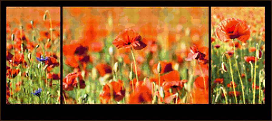 триптих маки - триптих, маки - предпросмотр