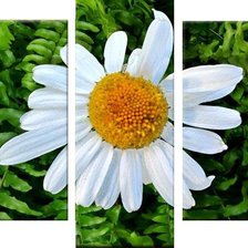 Схема вышивки «№406029»