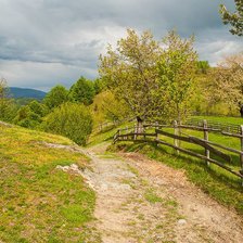 Схема вышивки «серия "природа"»