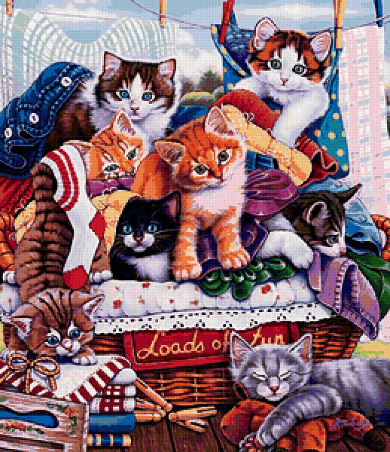 котята - котята, животные - предпросмотр