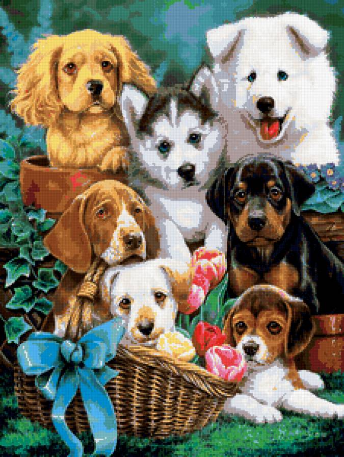 животные - щенки, животные - предпросмотр