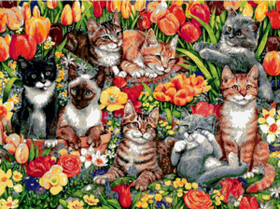 котята - котята, животные - предпросмотр