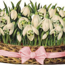 подснежники