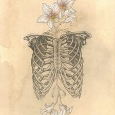 Схема вышивки «Цветы внутри.»