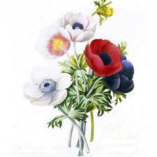 Схема вышивки «разноцветье»