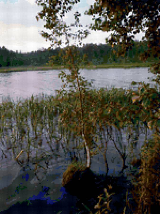 лето на озере - пейзаж, вода - предпросмотр