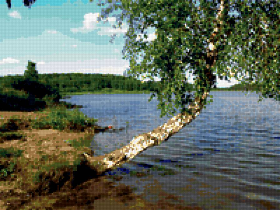 березка над водой - вода, береза, пейзаж - предпросмотр