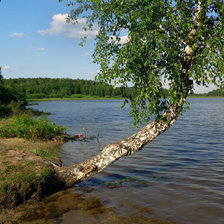 Схема вышивки «березка над водой»