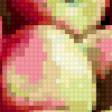 Предпросмотр схемы вышивки «яблоки» (№407105)