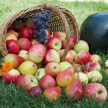 Схема вышивки «яблоки»