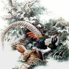 Схема вышивки «Серия "Птицы"»