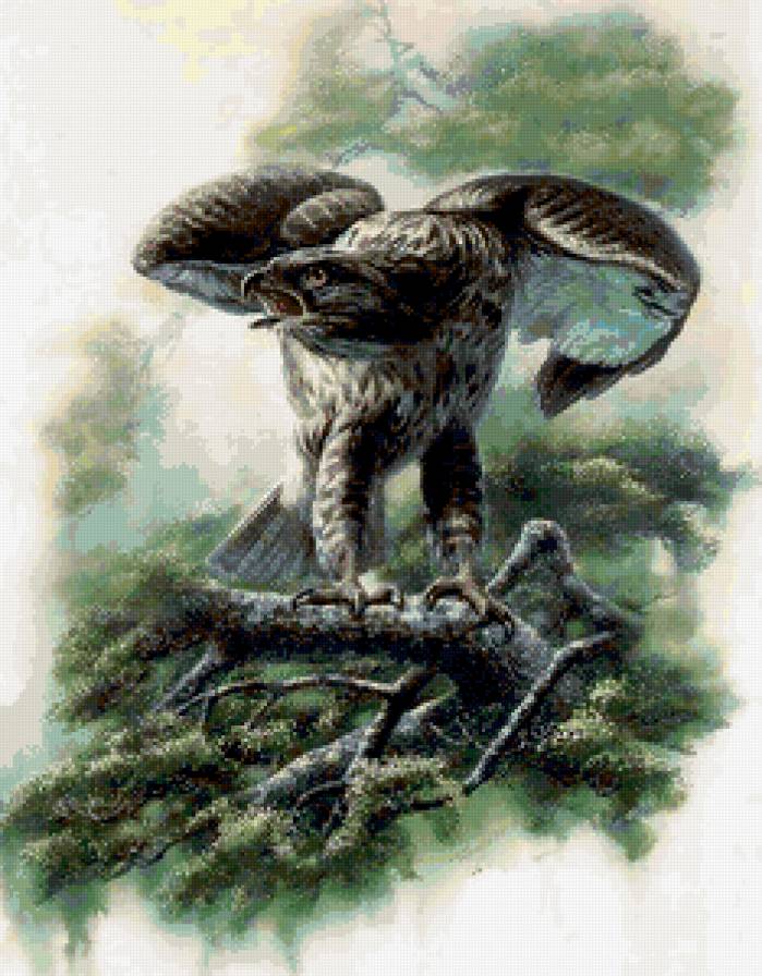 Серия "Птицы" - природа, птицы, растение - предпросмотр