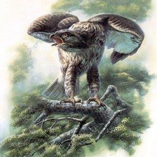 Схема вышивки «Серия "Птицы"»