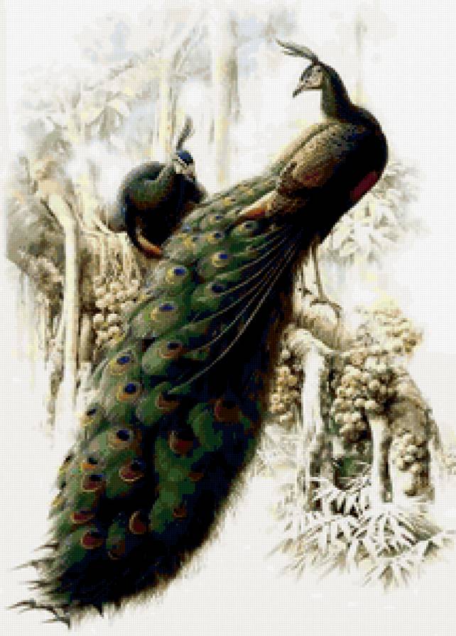 Серия "Птицы" - природа, растение, птицы - предпросмотр