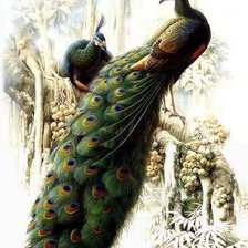 Схема вышивки «Серия "Птицы"»