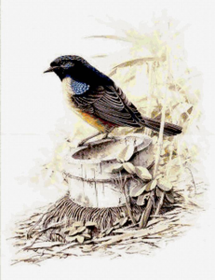 Серия "Птицы" - природа, птицы, растение - предпросмотр